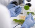 CJ Biomaterials