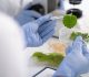 CJ Biomaterials