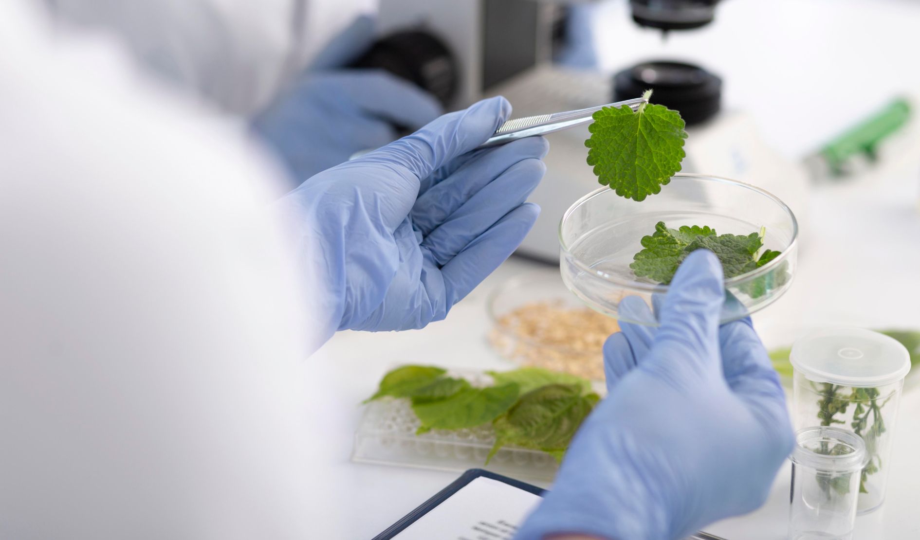 CJ Biomaterials