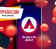 Crypto30x.com Avalanche Network