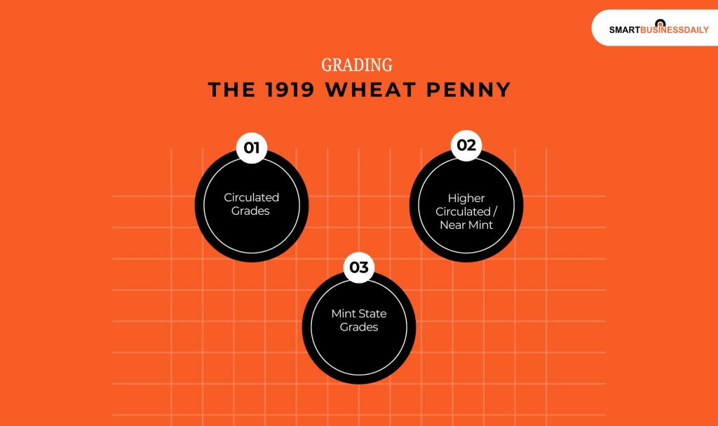 Grading the 1919 Wheat Penny (Critical for Value)