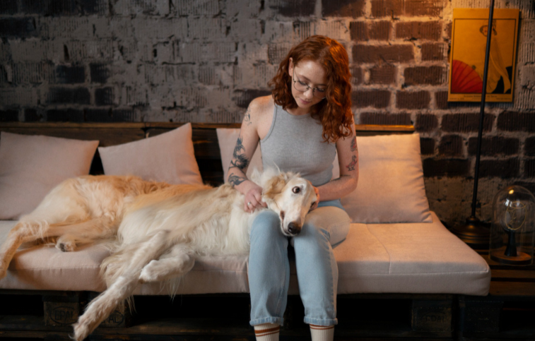 Seasonal Pet Care Tips