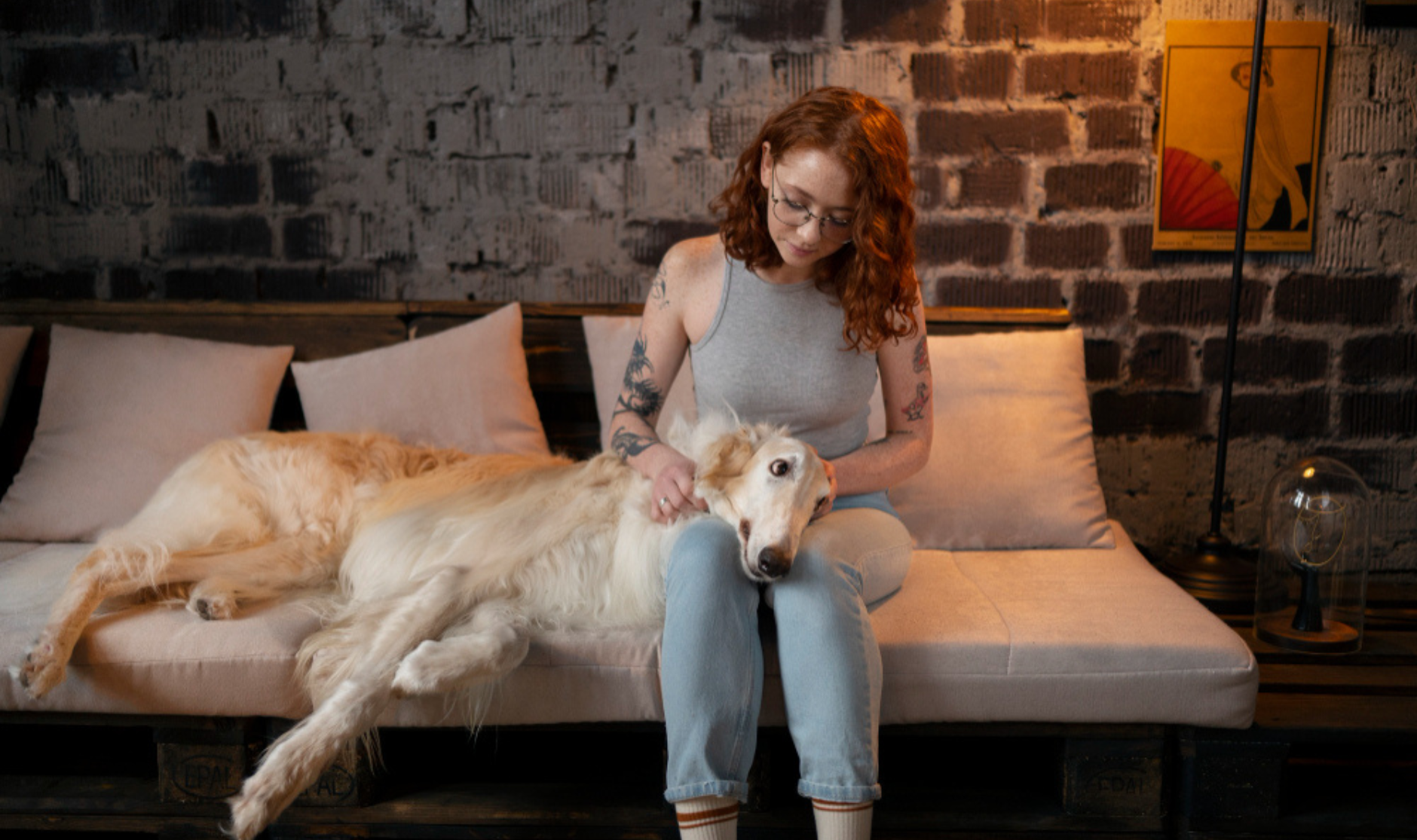 Seasonal Pet Care Tips