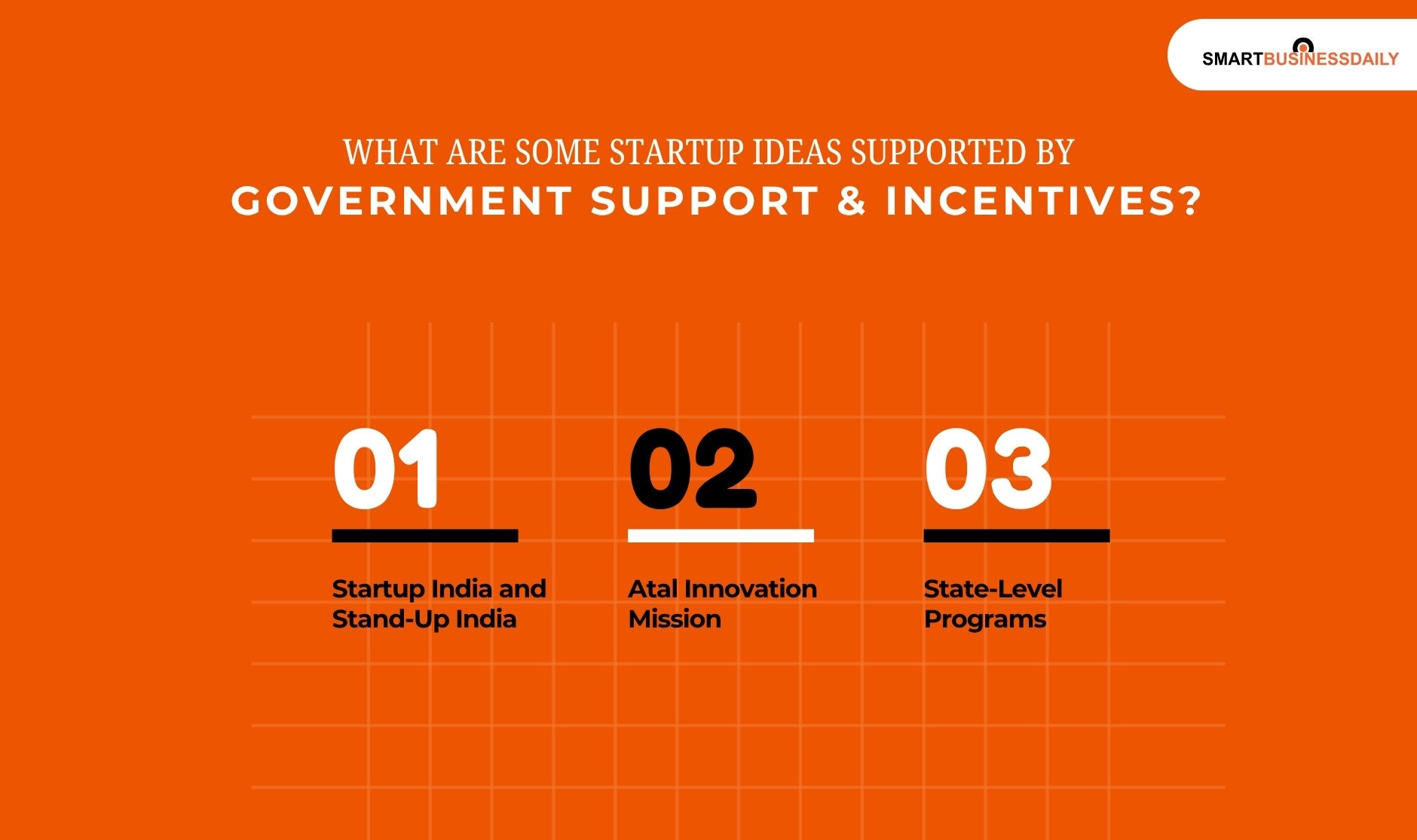 What Are Some Startup Ideas Supported By Government Support & Incentives