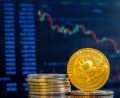 What Is Cryptocurrency