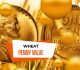 Wheat Penny Value
