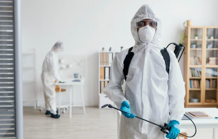 Mosquito control service