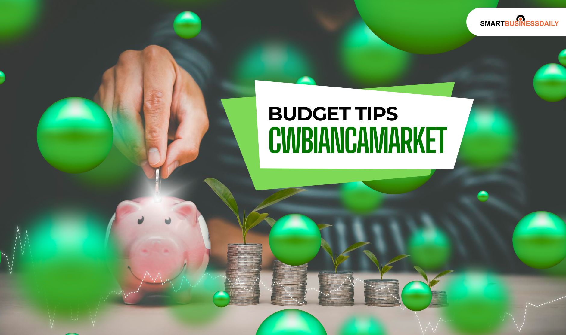 budget tips cwbiancamarket