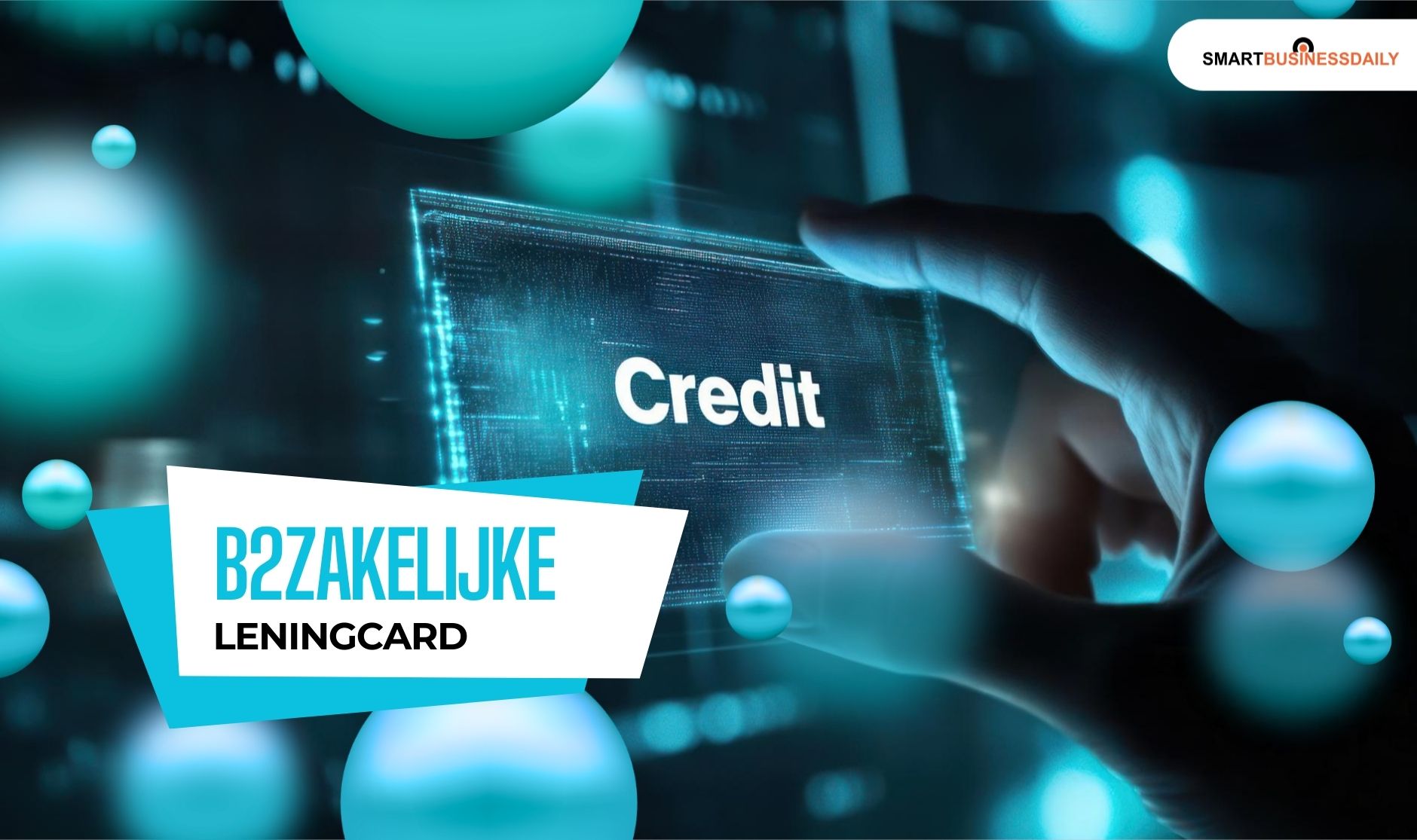 B2zakelijke leningcard