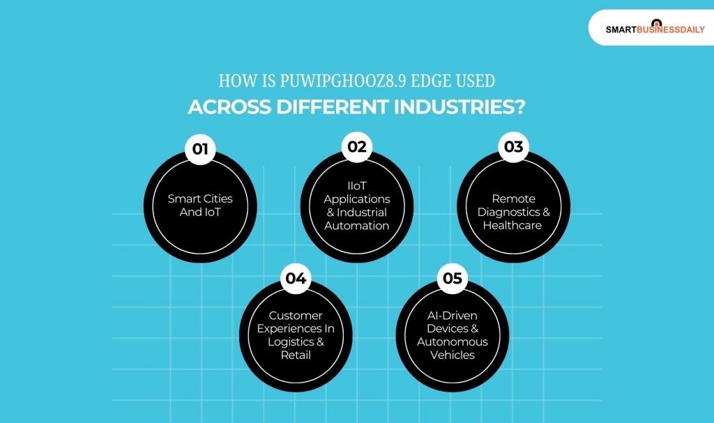 How Is Puwipghooz8.9 Edge Used Across Different Industries