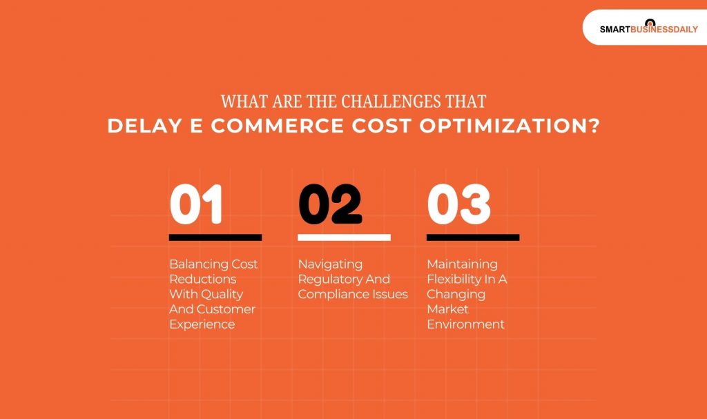 What Are The Challenges That Delay E Commerce Cost Optimization