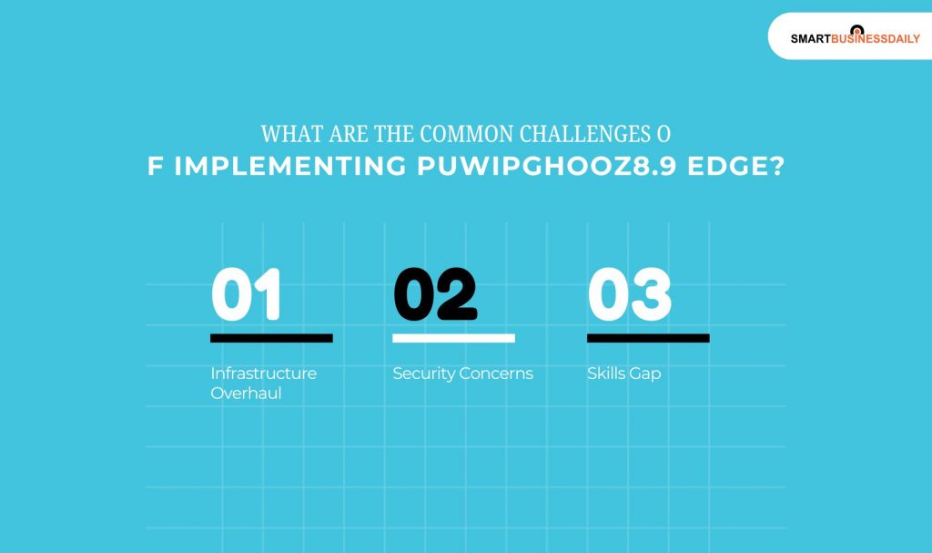 What Are The Common Challenges of Implementing Puwipghooz8.9 Edge