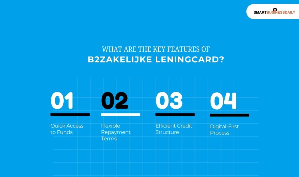 What Are The Key Features Of B2zakelijke Leningcard