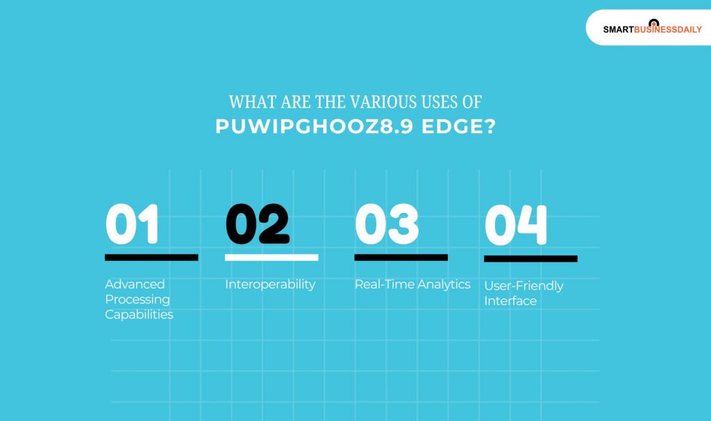 What Are The Various Uses Of Puwipghooz8.9 Edge
