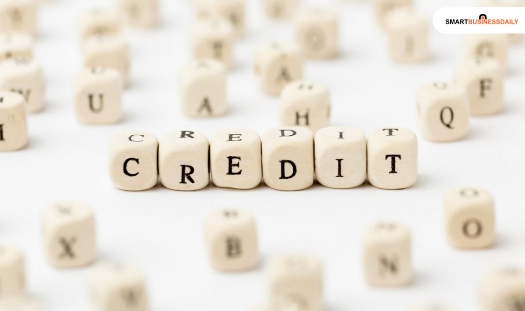 What are the eligibility criteria for the B2zakelijke Leningcard