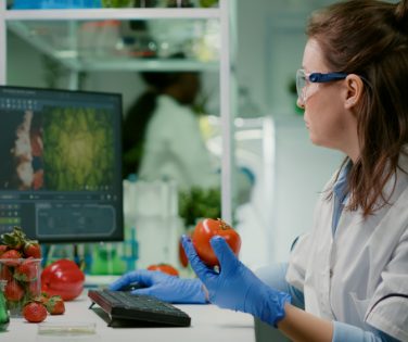 food safety system design