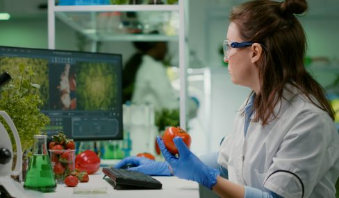 food safety system design