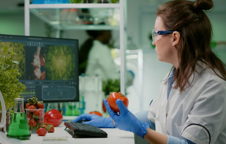 food safety system design