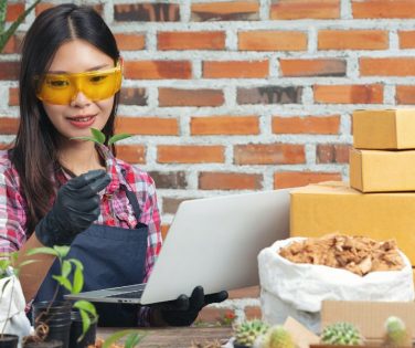 Ecommerce supply chain strategy