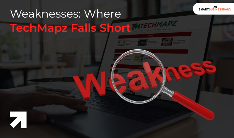 Weaknesses: Where TechMapz Falls Short