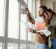 choosing the right window
