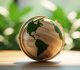 ISO 14001 Certification