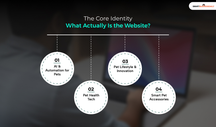 The Core Identity: What Actually Is the Website?